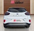 Ford Puma употребяван