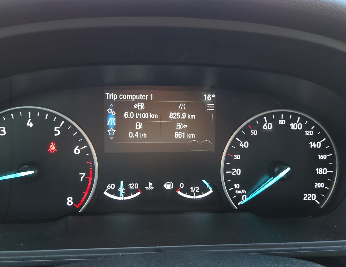 Ford EcoSport употребяван