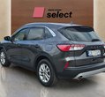 Ford Kuga употребяван