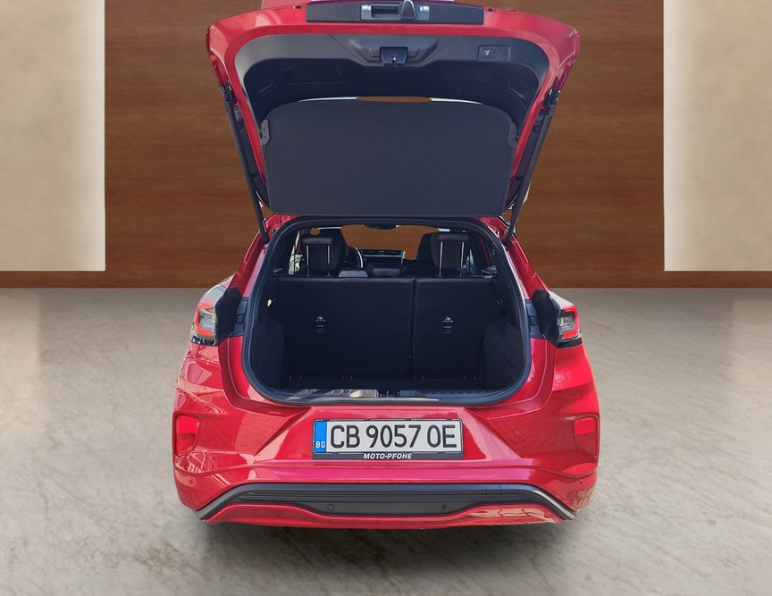 Ford Puma употребяван
