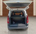 Citroen Berlingo употребяван