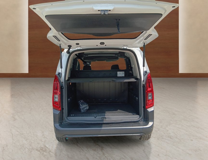 Citroen Berlingo употребяван