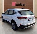 Ford Kuga употребяван