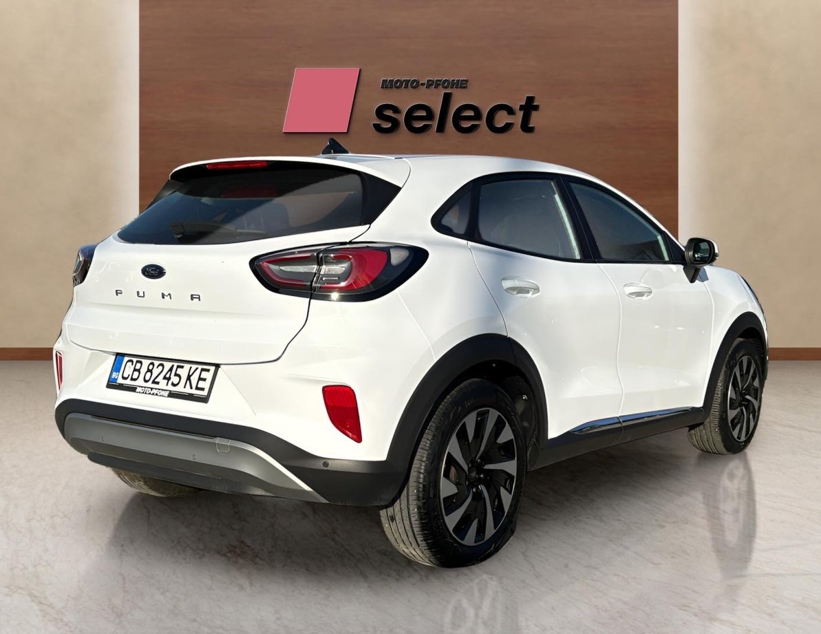 Ford Puma употребяван