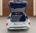 Ford Puma употребяван