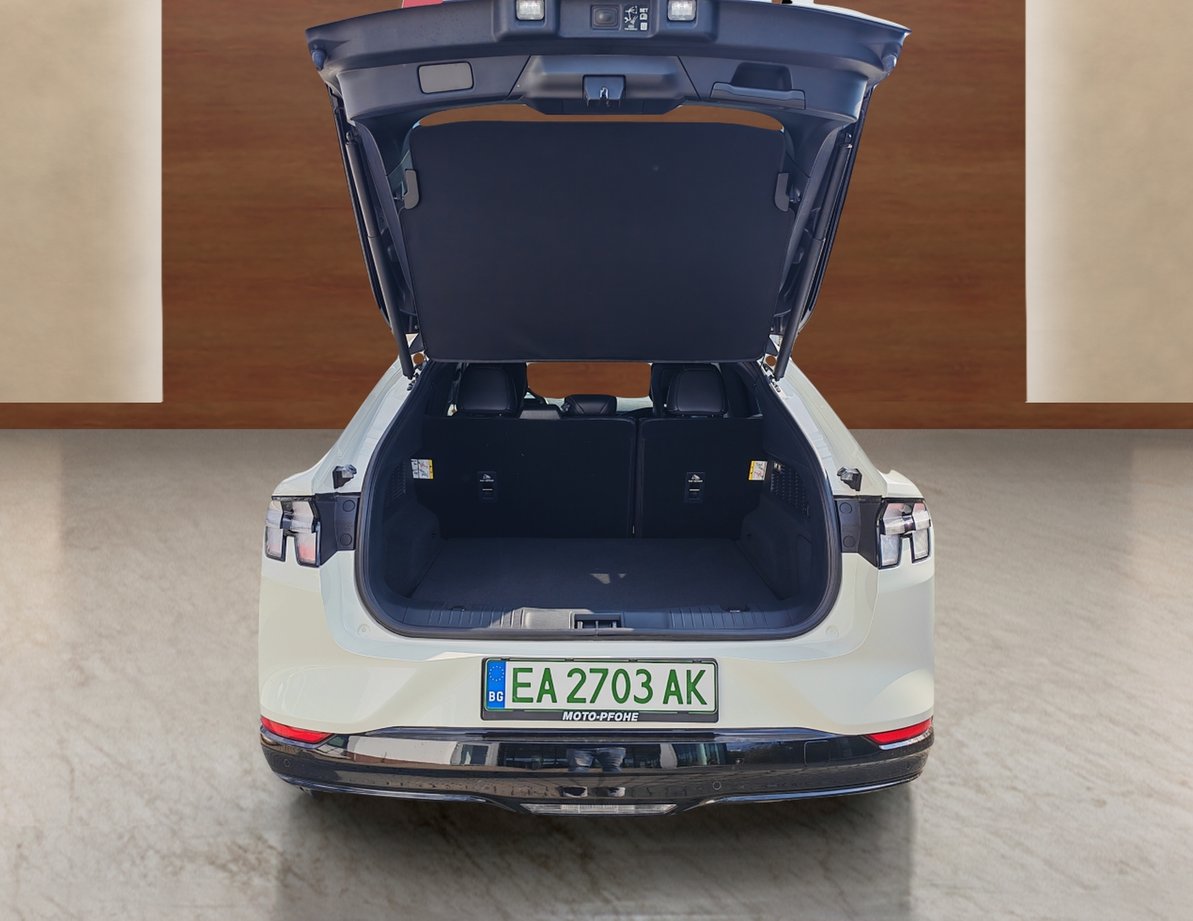 Ford Mach-E употребяван