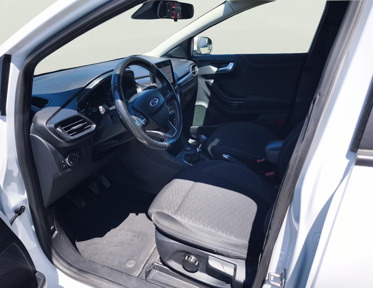 Ford Puma употребяван