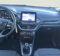 Ford Puma употребяван