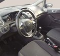 Ford Fiesta употребяван