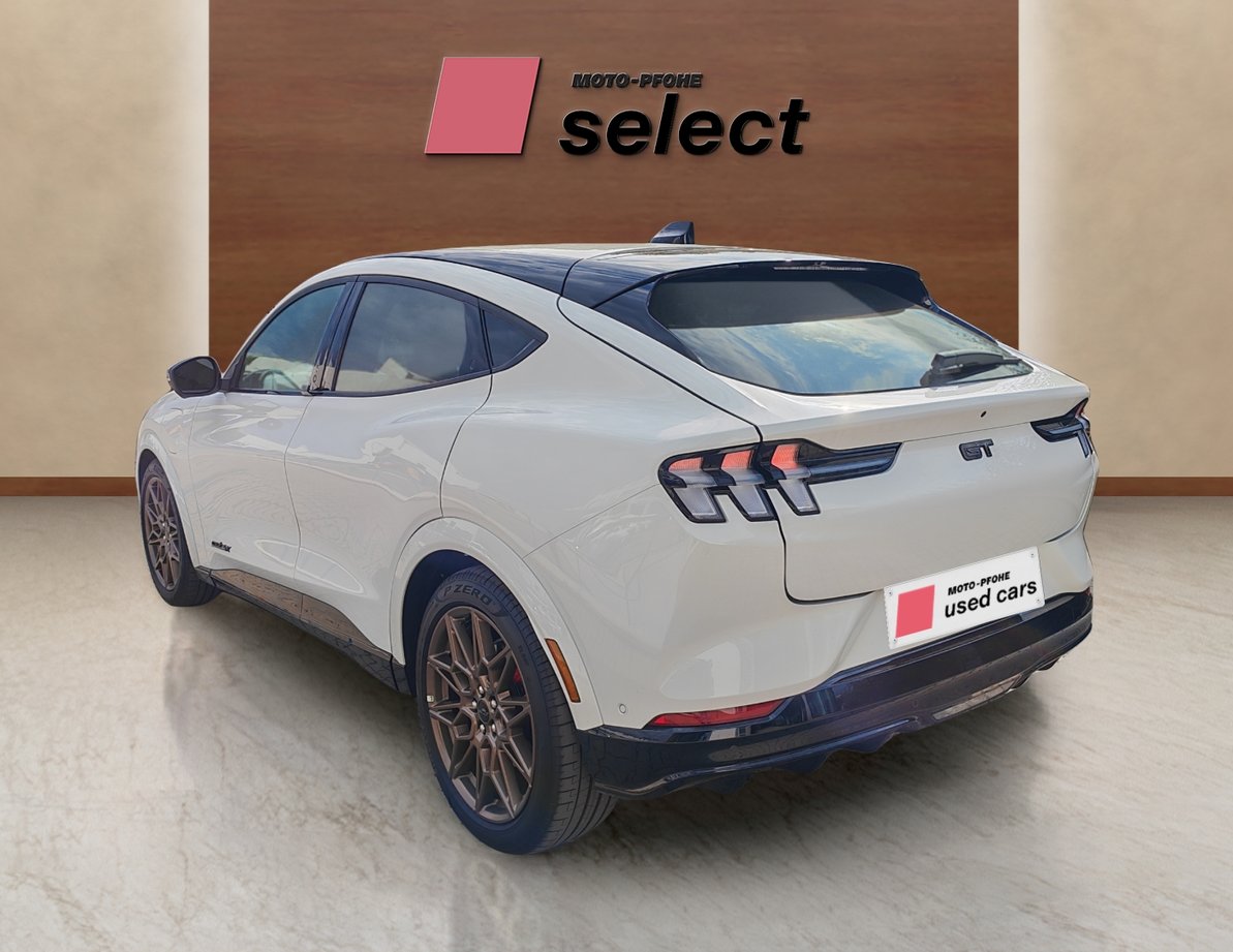 Ford Mach-E употребяван