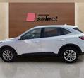 Ford Kuga употребяван