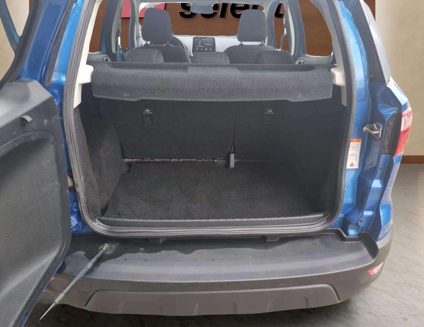 Ford EcoSport употребяван