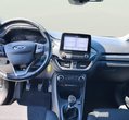 Ford Puma употребяван