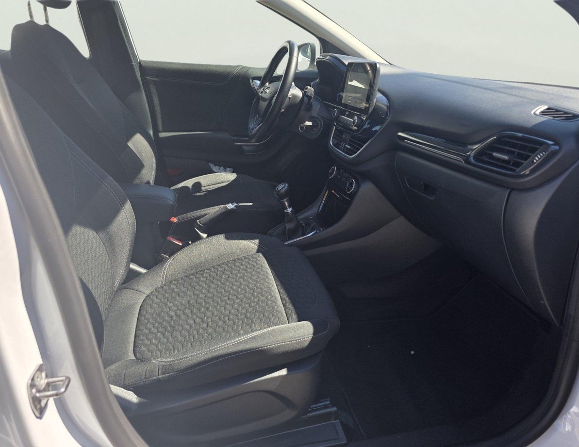 Ford Puma употребяван