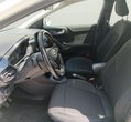 Ford Puma употребяван