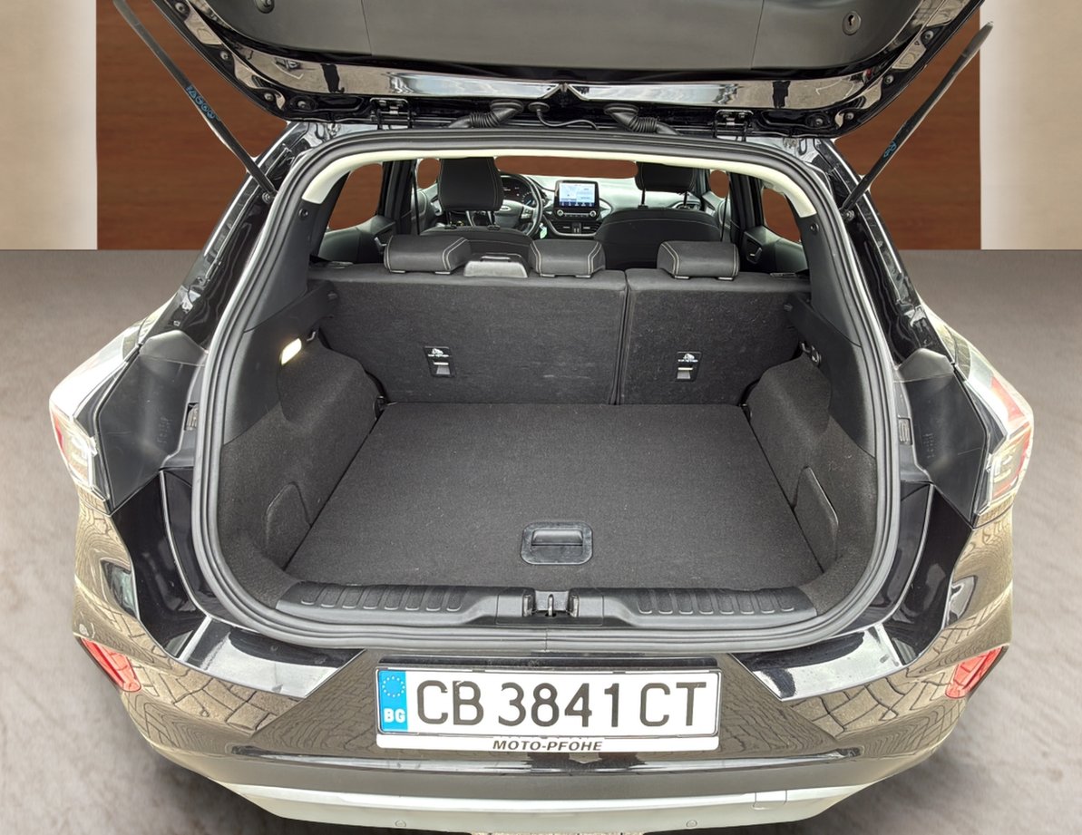 Ford Puma употребяван