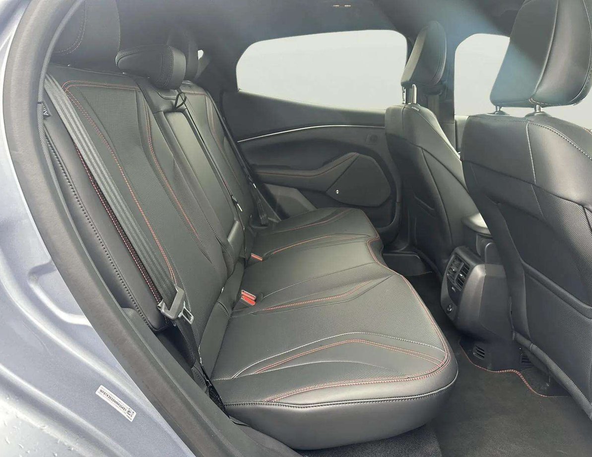 Ford Mach-E употребяван