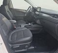 Ford Kuga употребяван