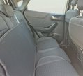 Ford Puma употребяван
