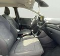 Ford Puma употребяван