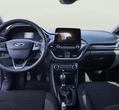 Ford Puma употребяван