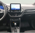 Ford Puma употребяван