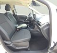Ford EcoSport употребяван