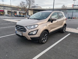 Ford EcoSport BUSINESS